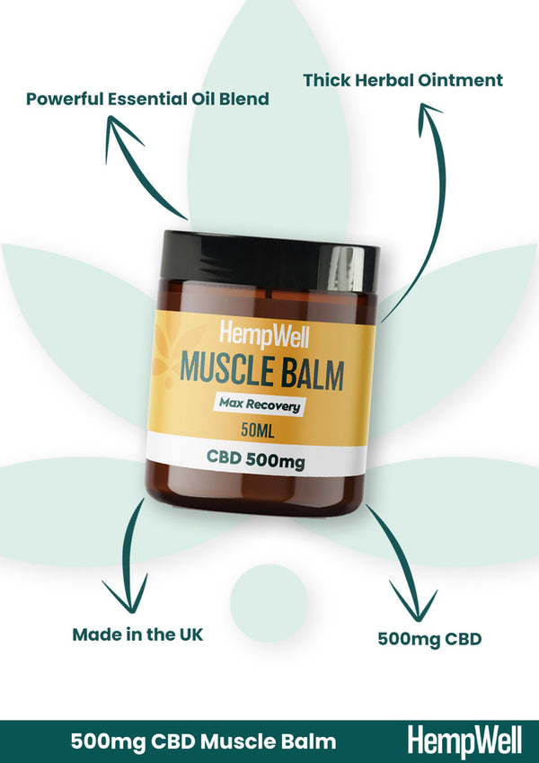 CBD MUSCLE BALM 500MG